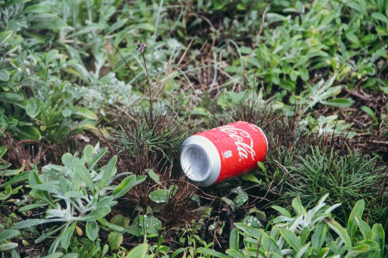 an empty can of coke sits on the ground