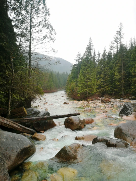 water flowing down a river between forest and rocks