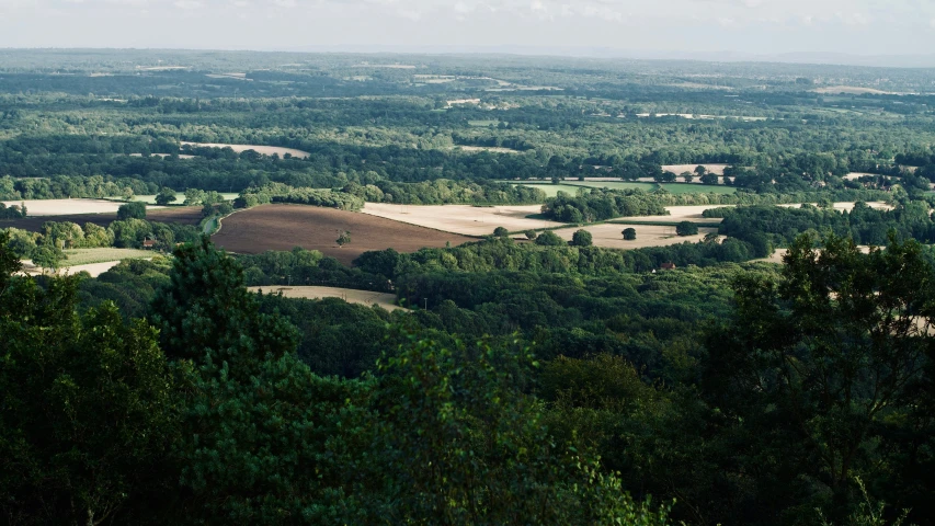 there are trees and fields in the distance