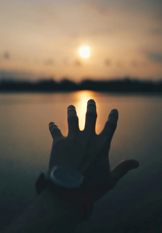 the fingers of someone's hand against a setting sun