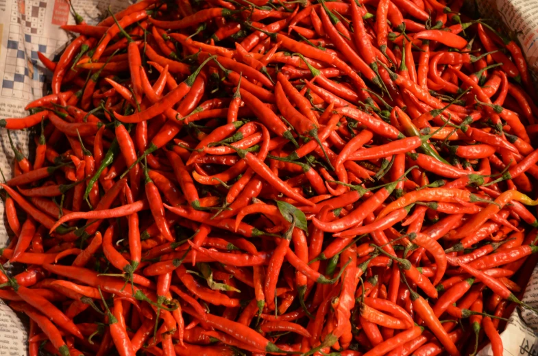 a lot of carrots with leaves scattered around them