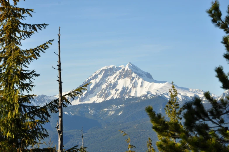 view of a large snow covered mountain taken from a distance