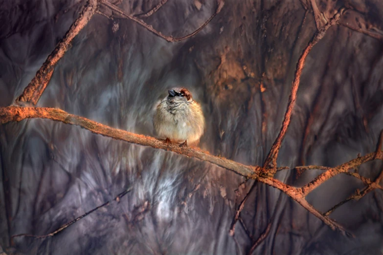 a bird perched on a nch near the trees