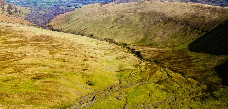 the valley floor of the moutains is surrounded by grass