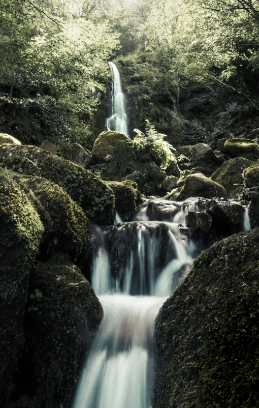 the stream is flowing under the lush green trees