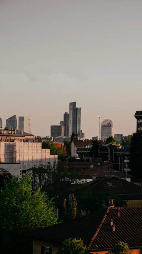 a city skyline that has a bird in the sky