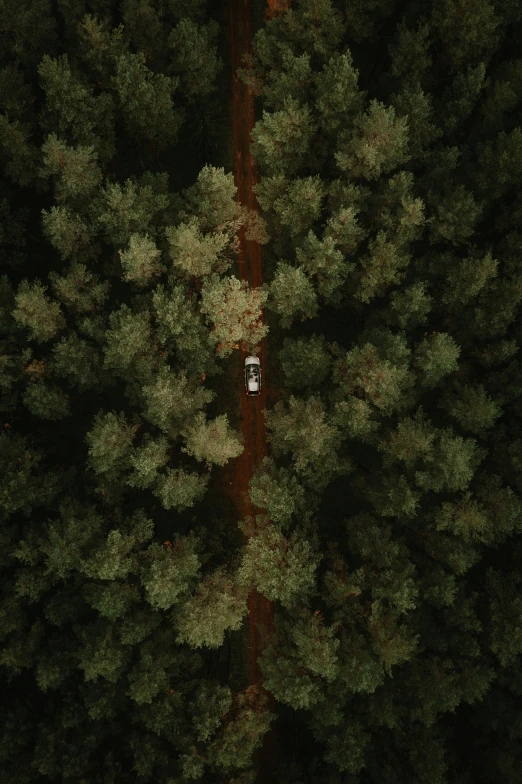 a vehicle parked in the middle of the road among trees