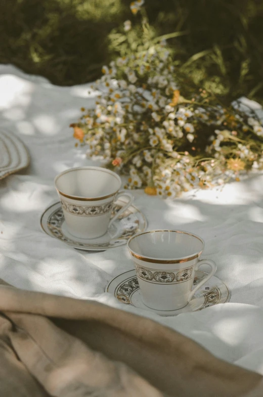 two cups sitting on a tablecloth with a plant in the background