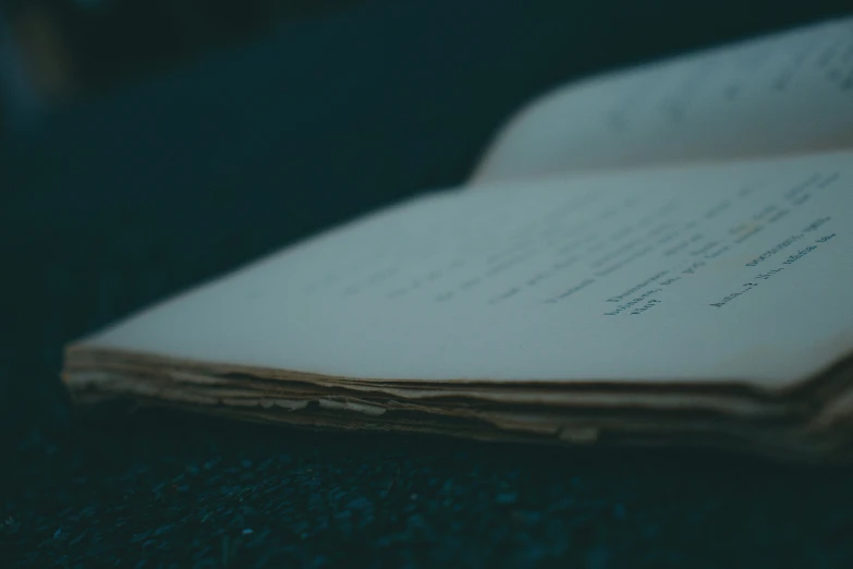 a close up of an opened book on a table