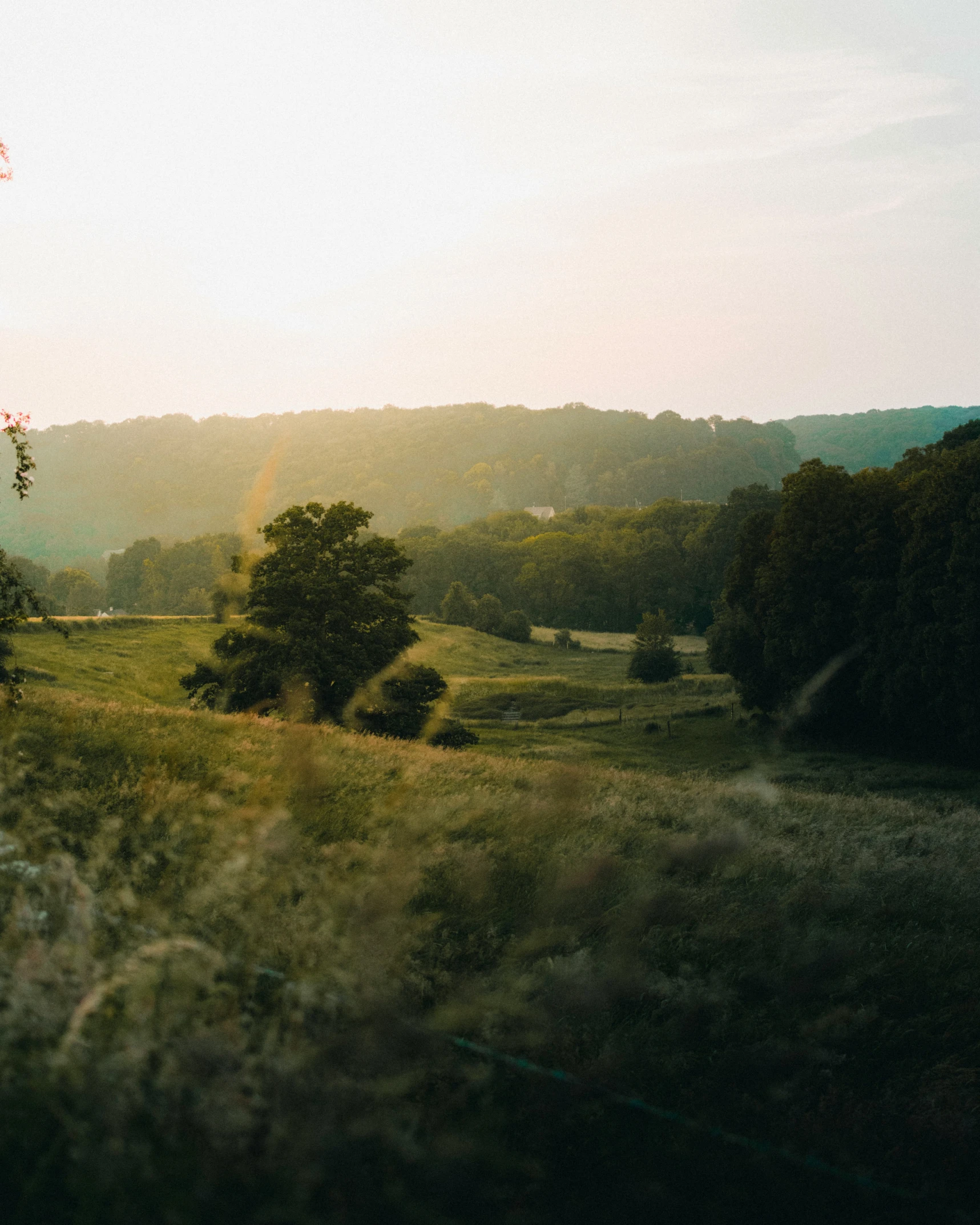 a field with trees and hills on a sunny day