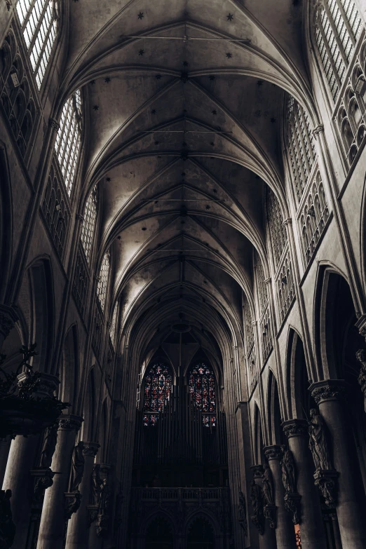 a cathedral has tall ceilings and lots of light