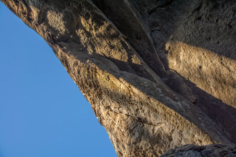 the shadow of a tree on rocks against a clear blue sky