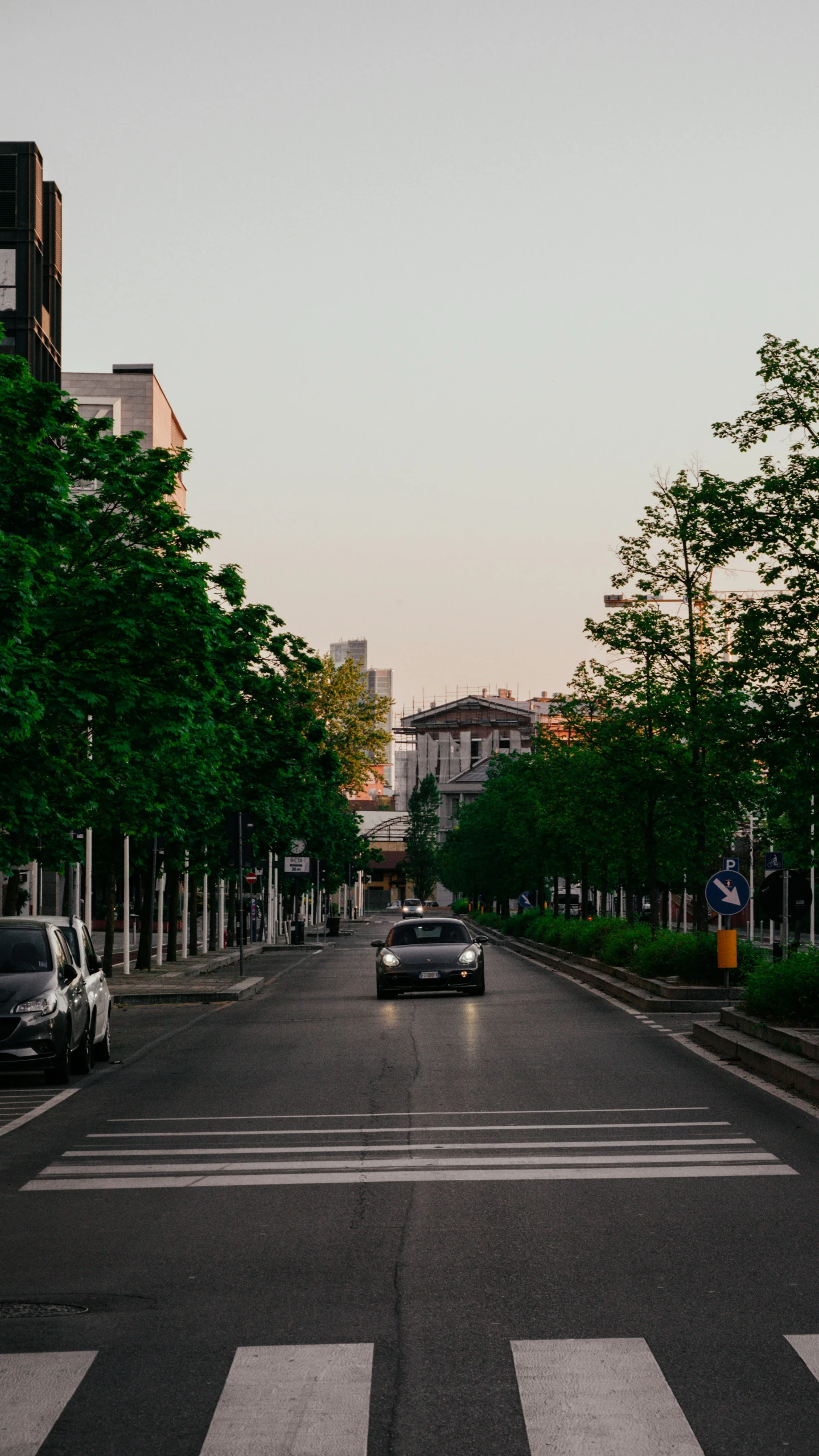 cars driving down the road in between trees