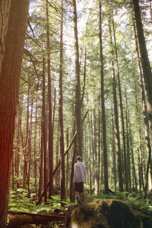 a man standing in the forest next to a fallen tree