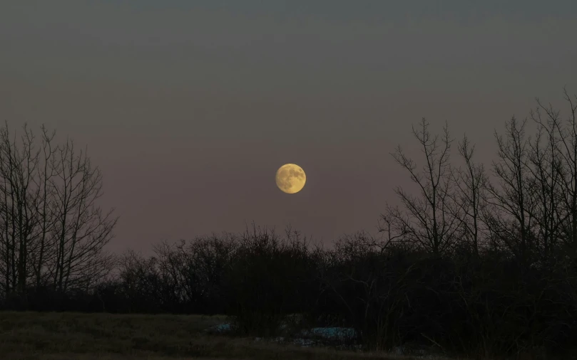 the moon is rising above some trees