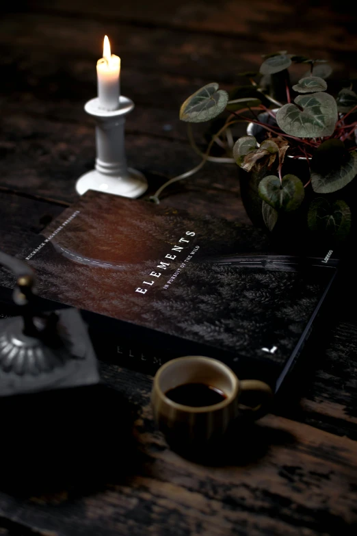 a book sitting on top of a wooden table