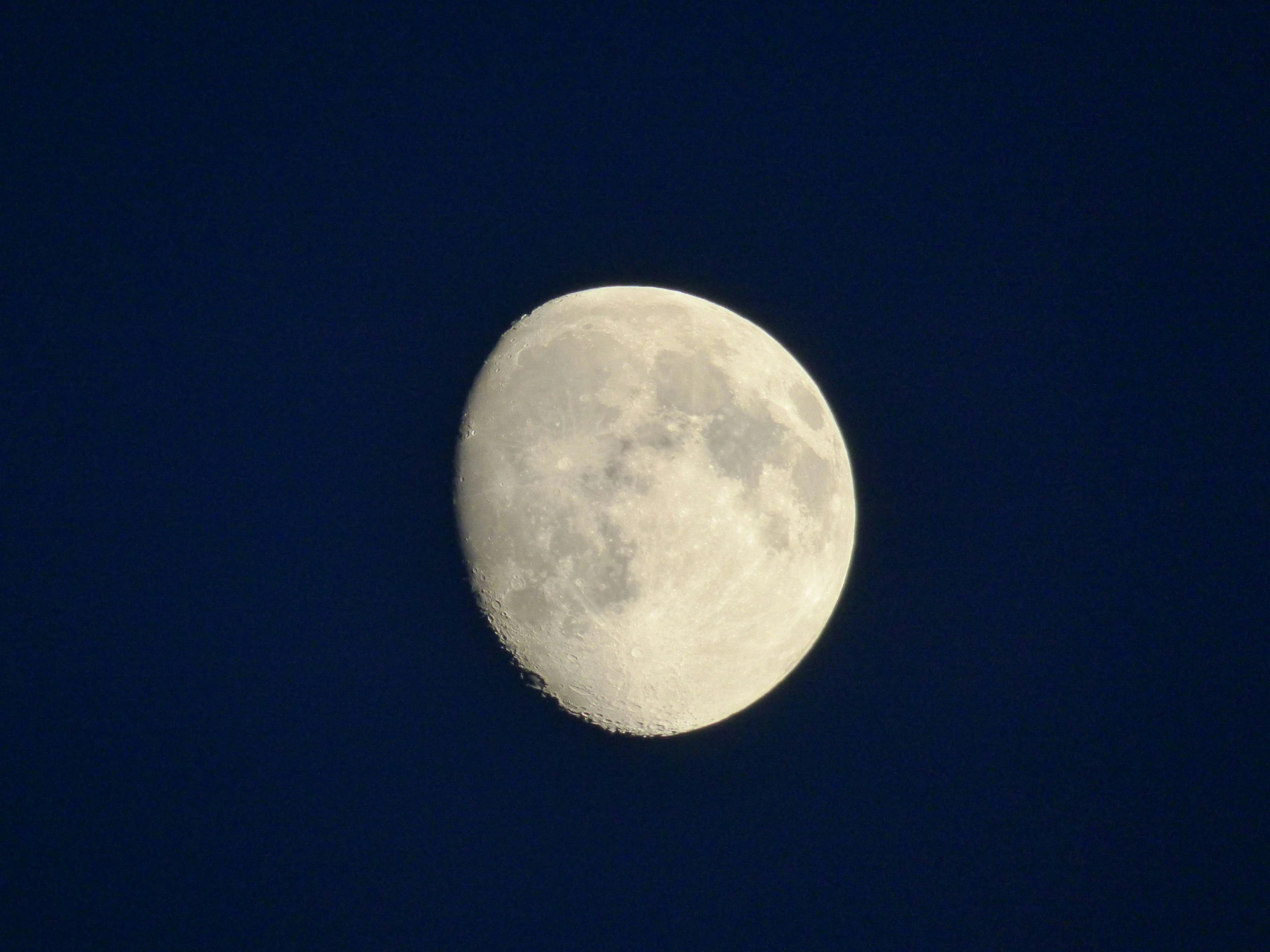 the full moon has a bright blue back ground