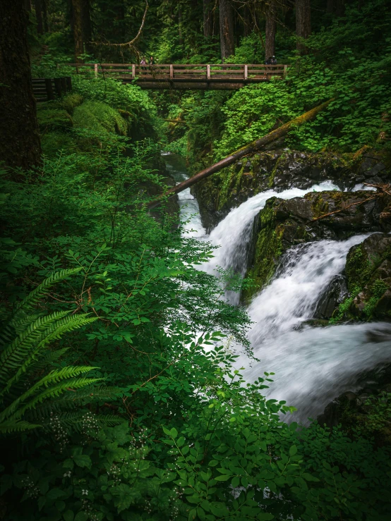 a bridge that is over a small waterfall