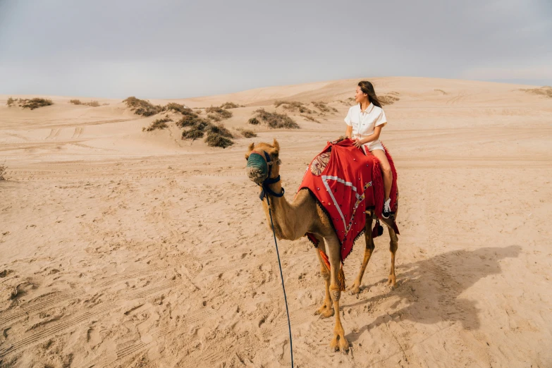 a person riding a camel in the desert