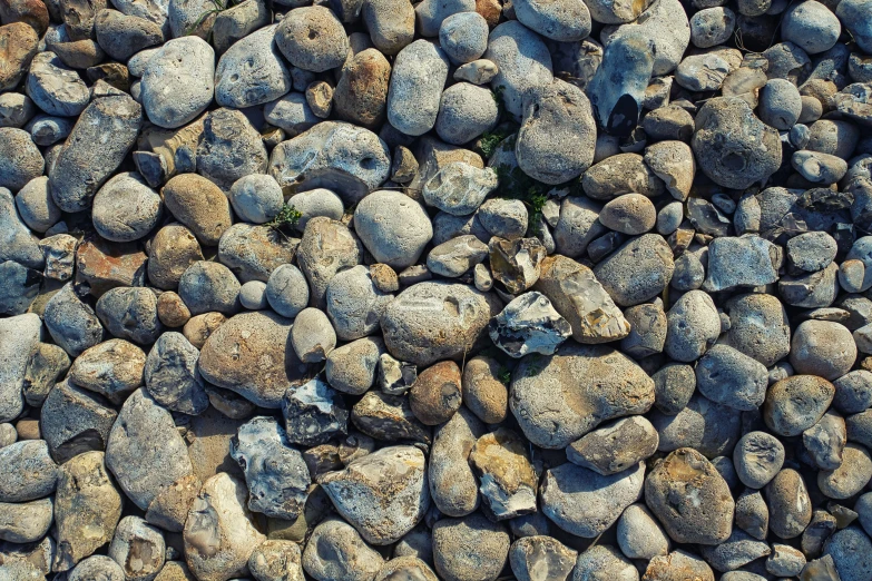 rocks on the ground are different colors
