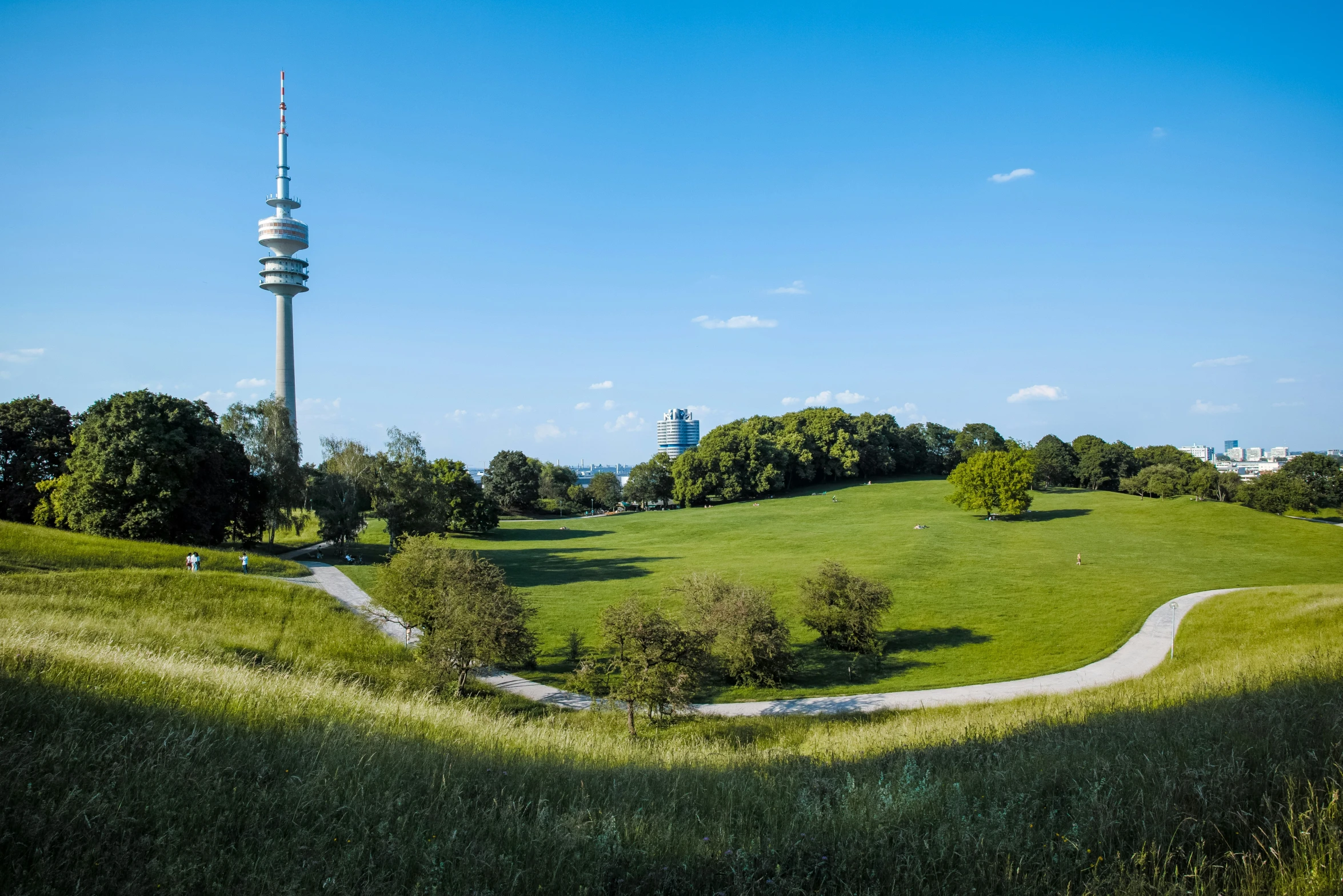 an image of the grass and sky at the top of a hill