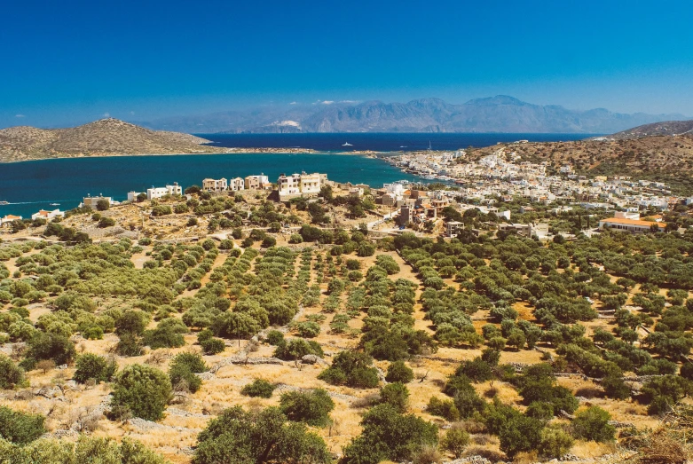 an aerial s of a bay with trees in the foreground