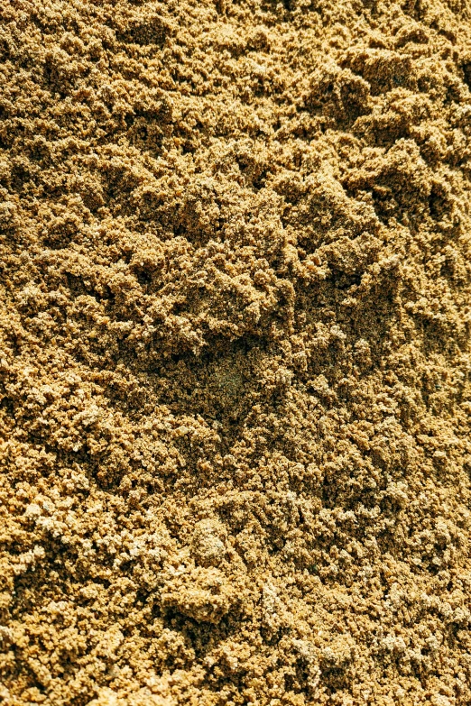 a close up view of the sand outside