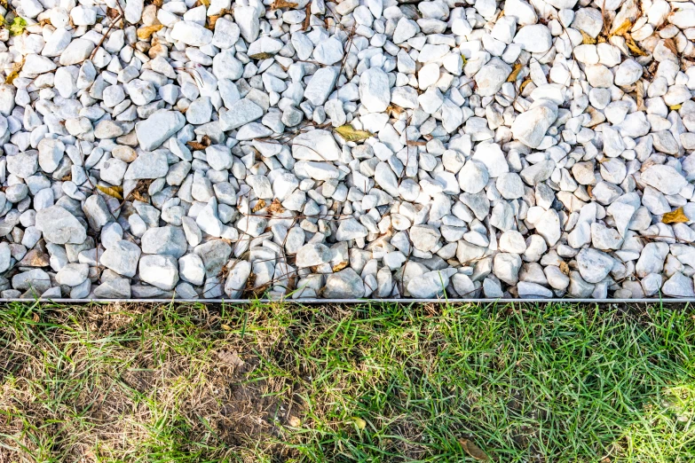 some rocks and grass next to a white and black fire hydrant