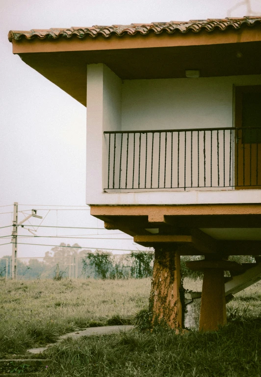 there is a brown tree in front of a house