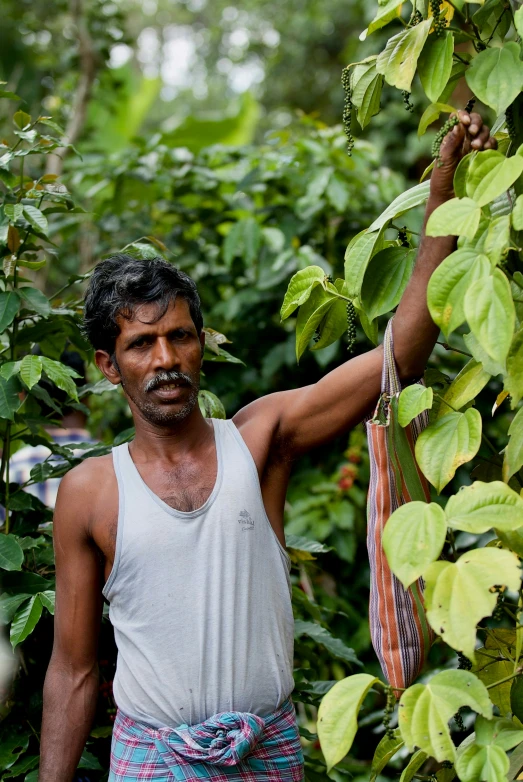 man standing in the jungle examining plants