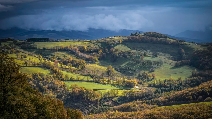 hills with trees covered in green grass with clouds in the background