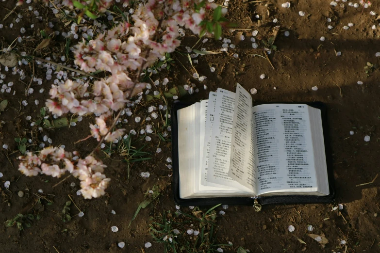 the open book is laying in front of flowers