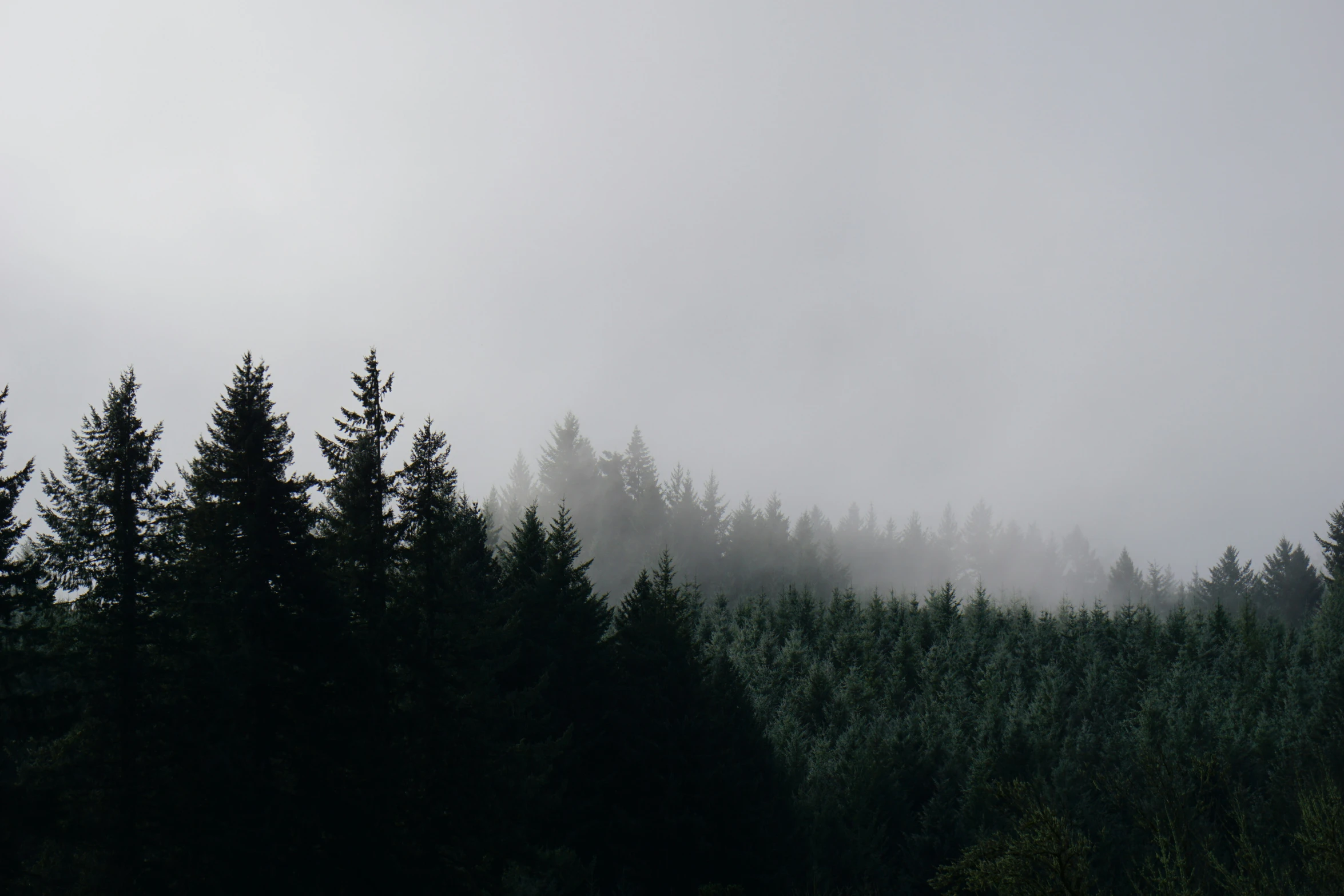 a mountain covered in fog and trees with the sky