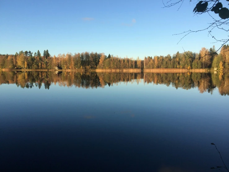 a beautiful landscape of lake surrounded by trees