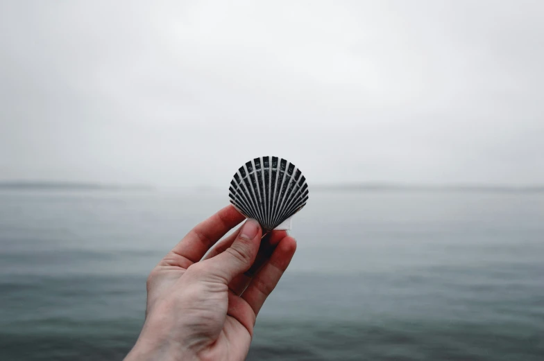 a hand is holding a shell that is out to sea