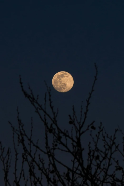 the moon is shining brightly in the sky behind trees