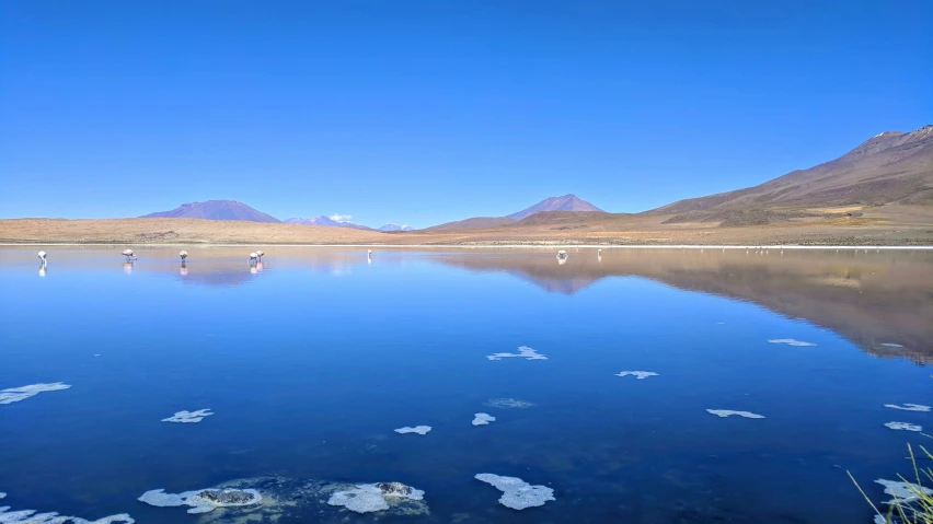 a number of small ships in a still lake