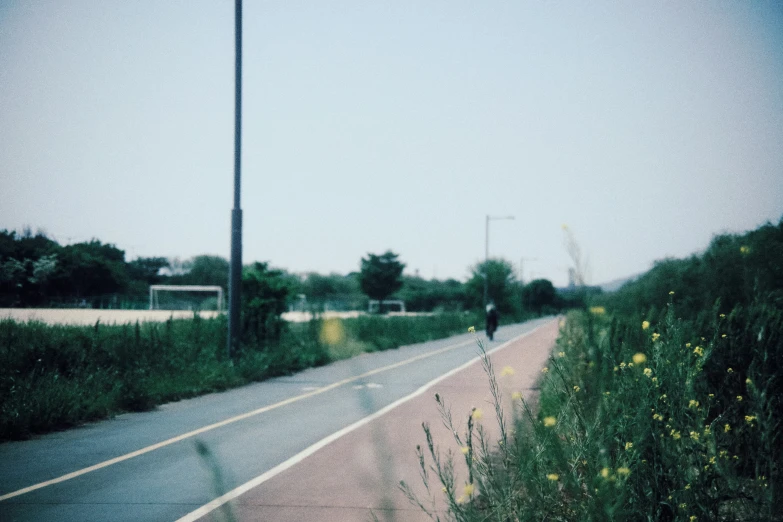 a person riding a bicycle down a street next to flowers