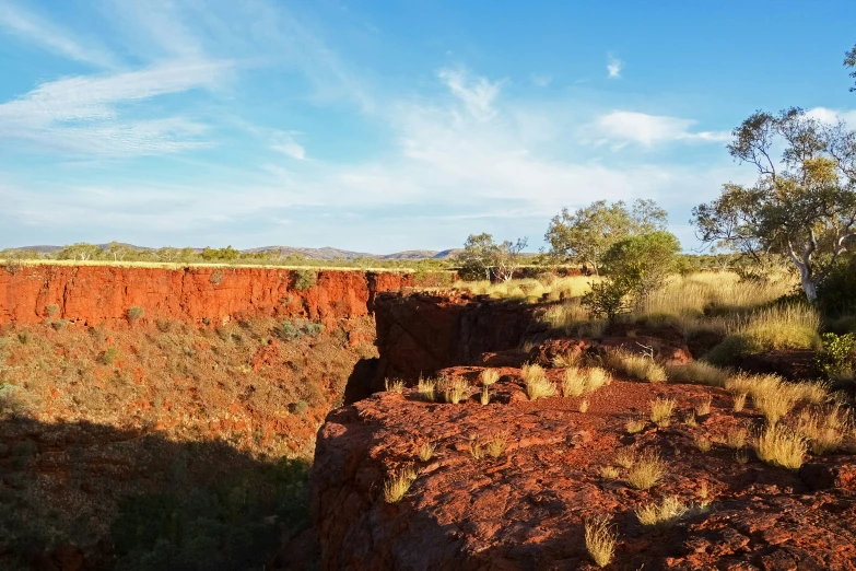 there is a cliff and trees on this hillside