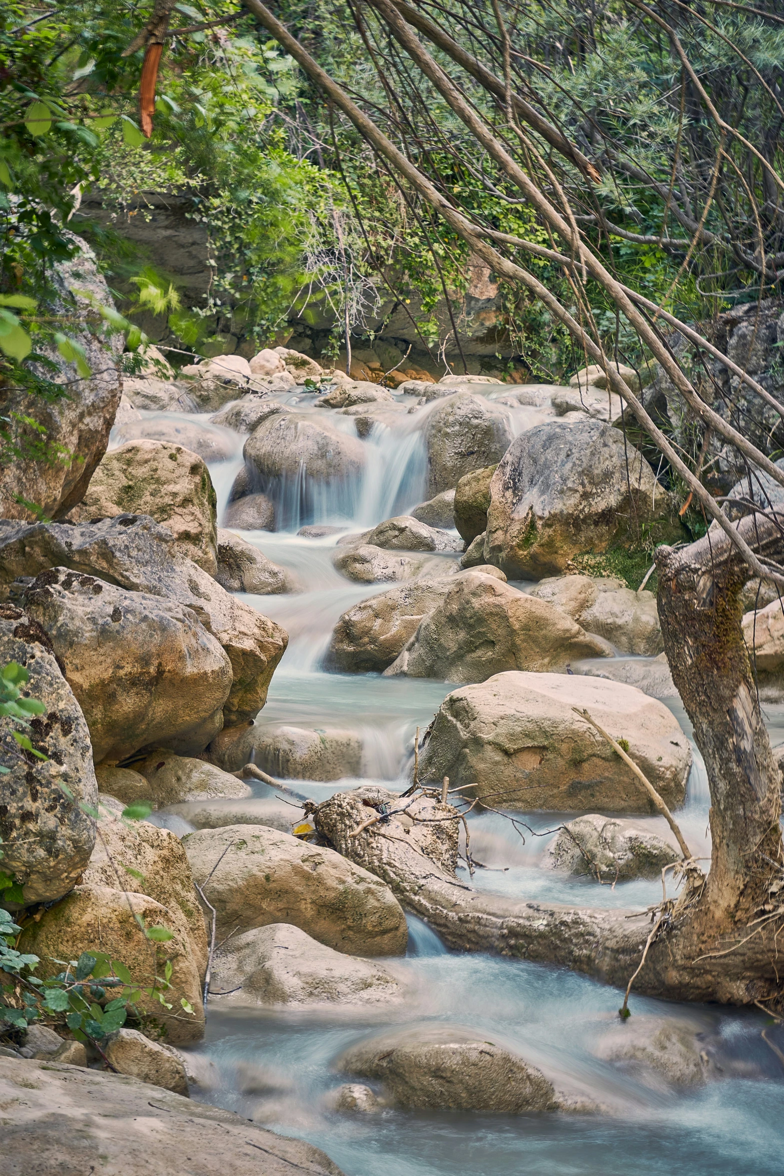 a group of rocks next to a river