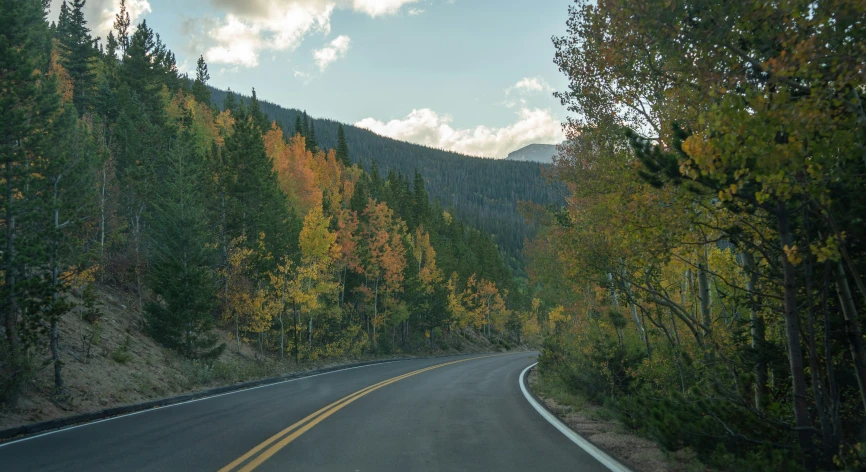an empty country road is shown in autumn
