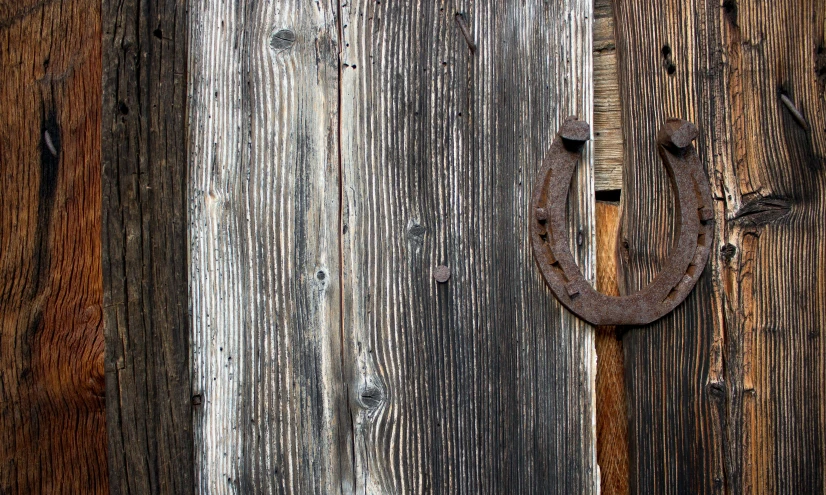 a rusty horseshoe and wooden planks are seen on a door