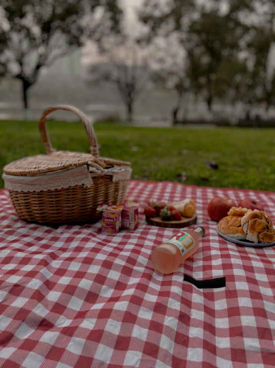 a picnic in the park with red checkered tablecloth