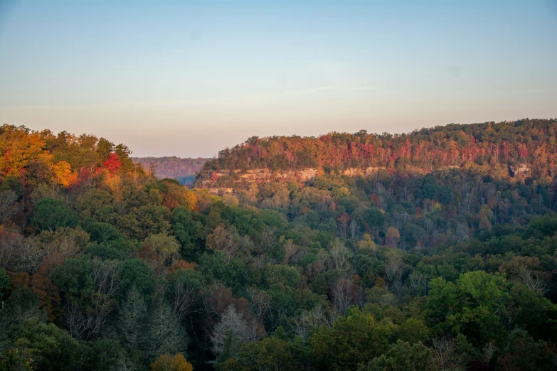 large forested area in the distance with mountains and trees