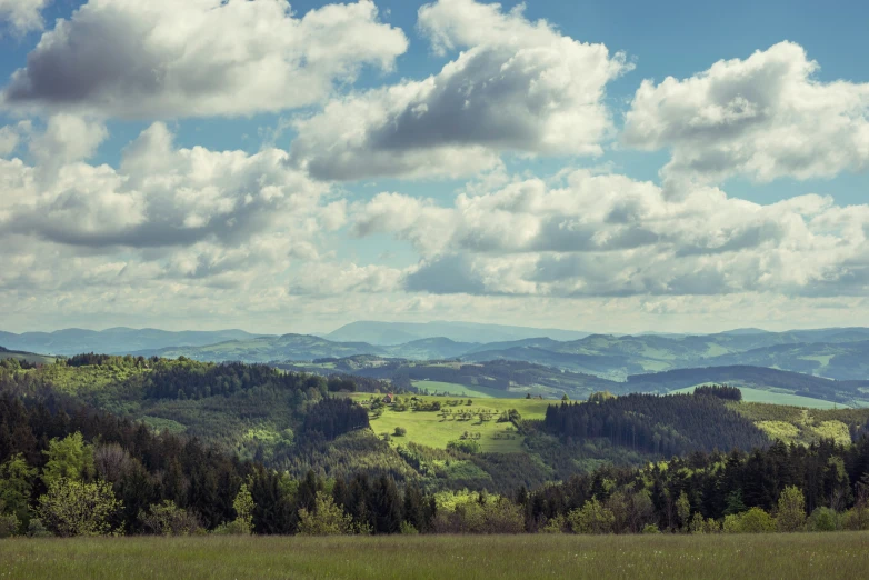 the grassy field with a few animals is visible near the distant mountain range