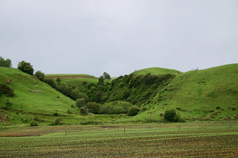 this is a landscape with green hills