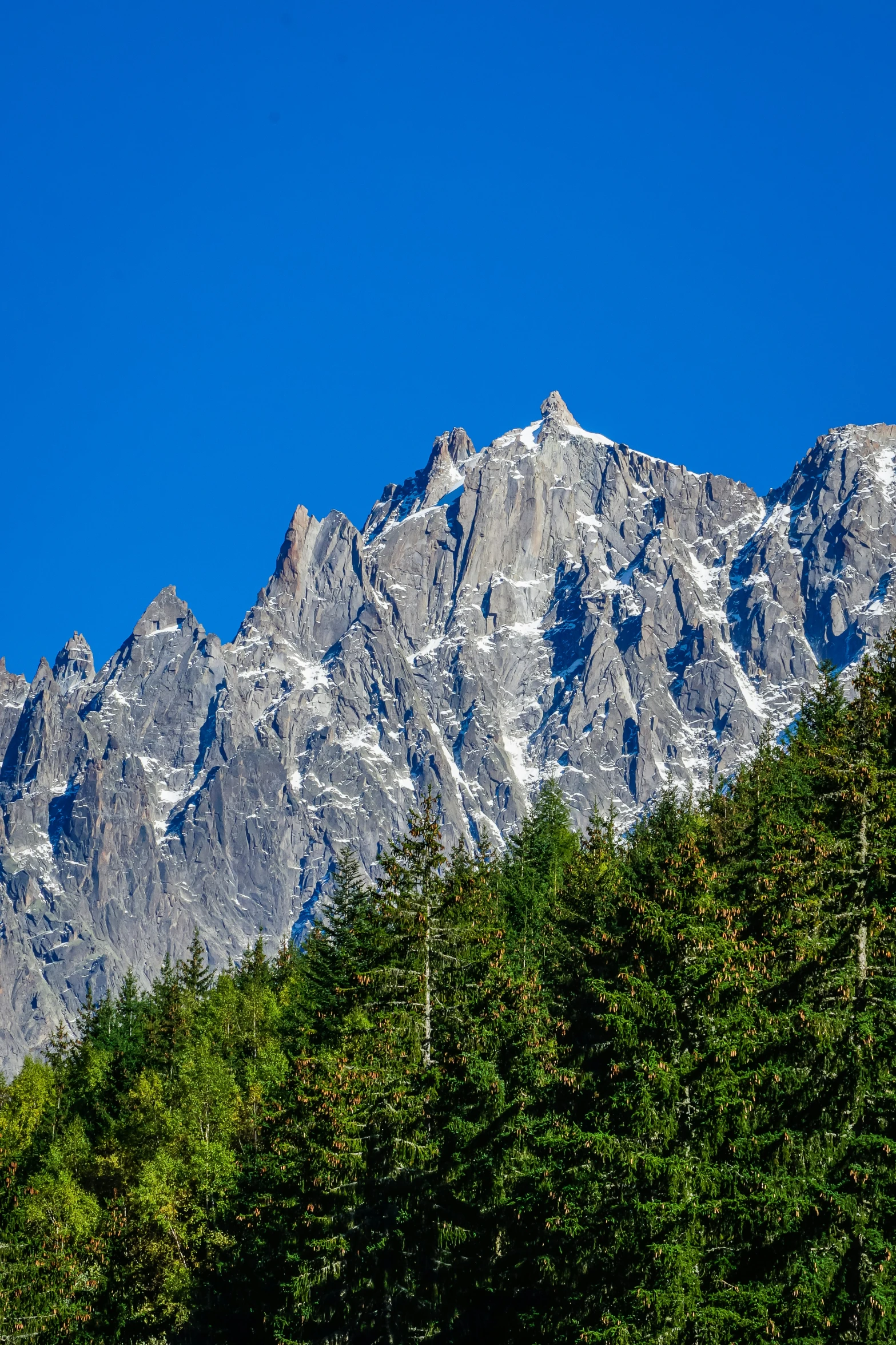 the snow covered mountain tops of the forest are shown