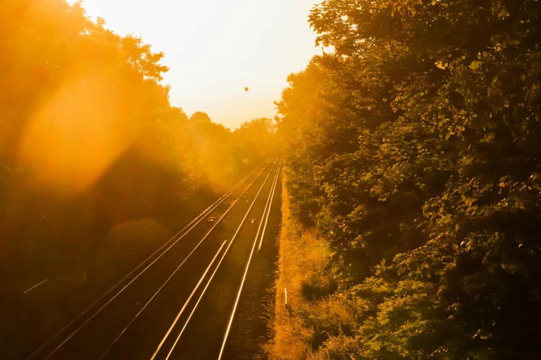 the view of train tracks in the forest from high above