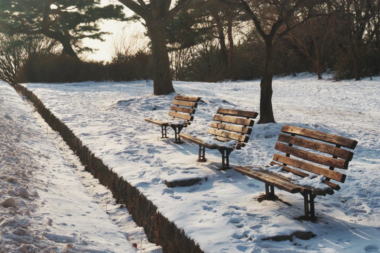 a row of wooden benches sitting in the middle of a park