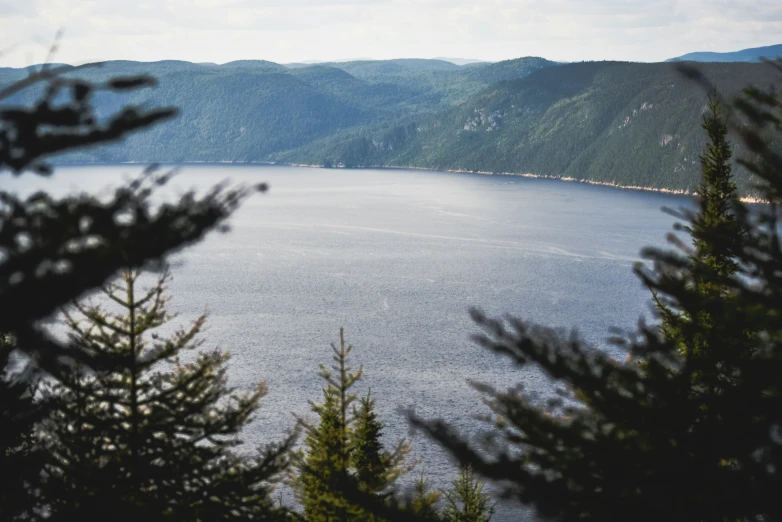 trees in front of a body of water surrounded by mountains